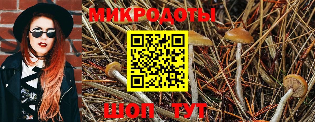 Галлюциногенные грибы Новокуйбышевск
