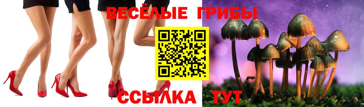 Галлюциногенные грибы GOLDEN TEACHER  Вход с VPN  Новокуйбышевск  Галлюциногенные грибы GOLDEN TEACHER 